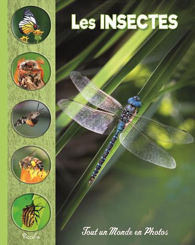[PIC073029] les insectes
