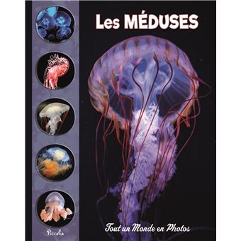 [PIC072770] Les méduses