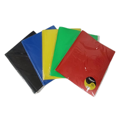 Porte Vue 60Vue / 30 Pochette A4