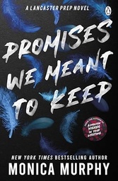 Promises We Meant To Keep: The emotionally gripping and swoon-worthy TikTok sensation