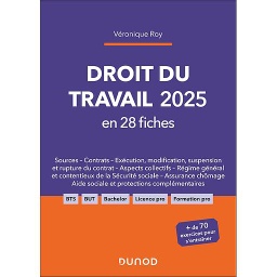 Droit du travail 2025 en 28 fiches - 7e édition