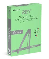 Ramette papier couleur A4 Papyrus Adagio 80g 500 feuilles couleur Vert