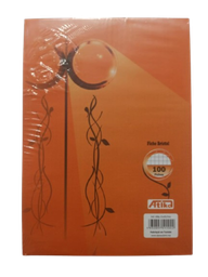 Fiche Bristol A4 210*29.7 180G 5*5 Multicolore