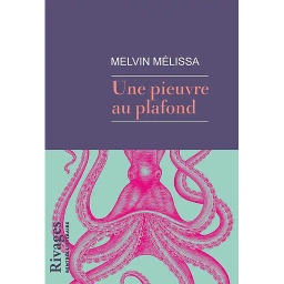 Une pieuvre au plafond