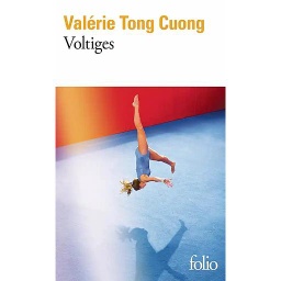 Voltiges