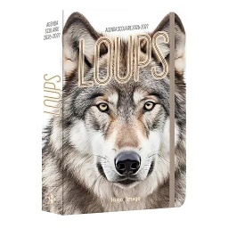 Agenda scolaire Loups 2026 - 2027