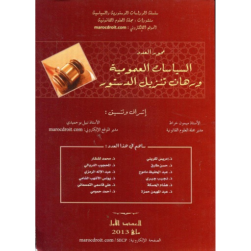 السياسات العمومية ورهان تنزيل الدستور عدد 1